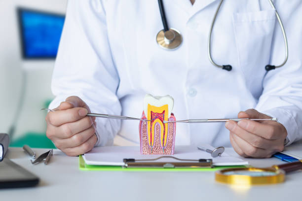 Best Cracked Tooth Emergency Dentist  in Tempe, AZ